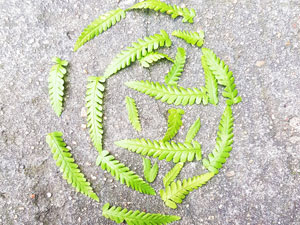 Der Kreativität sind keine Grenzen gesetzt.